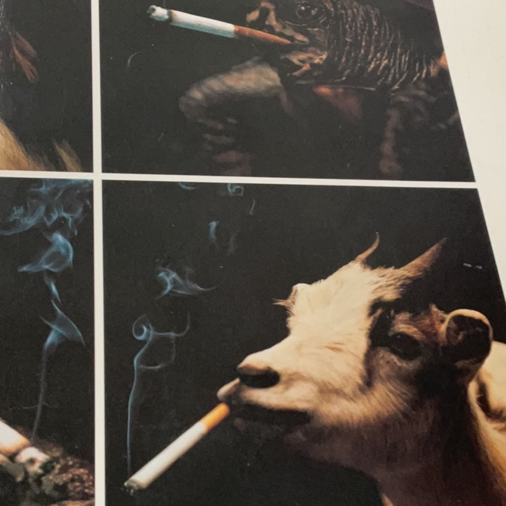 Youth Against Smoking rare 1990 poster. - Picture 6 of 14